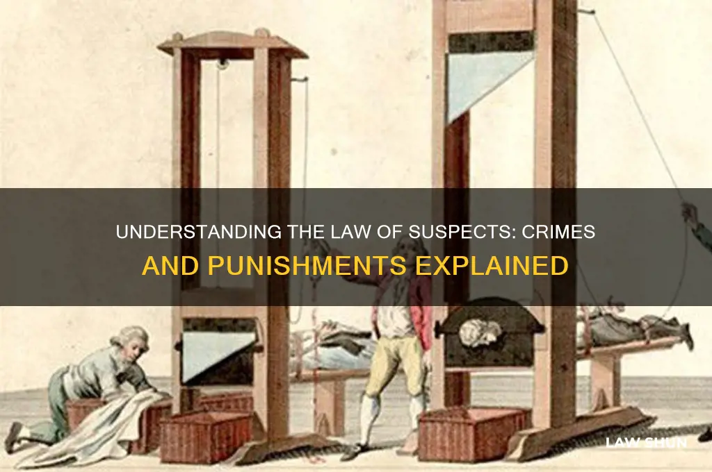 what crimes would be punished under the law of suspects