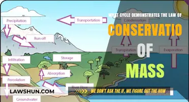Exploring the Water Cycle: A Perfect Example of Mass Conservation
