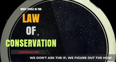 Understanding the Law of Conservation: Exploring Nature's Eternal Cycle