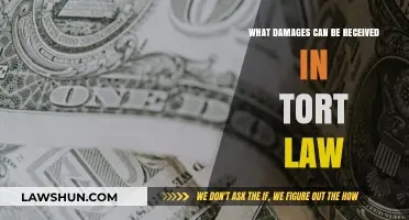 Understanding Tort Law: Damages and Compensation