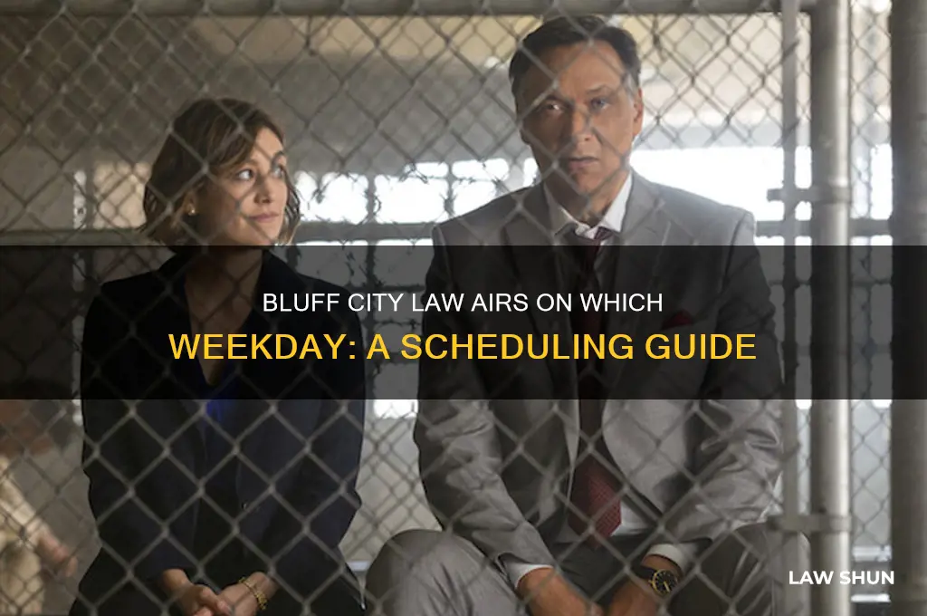 what day of the week is bluff city law on