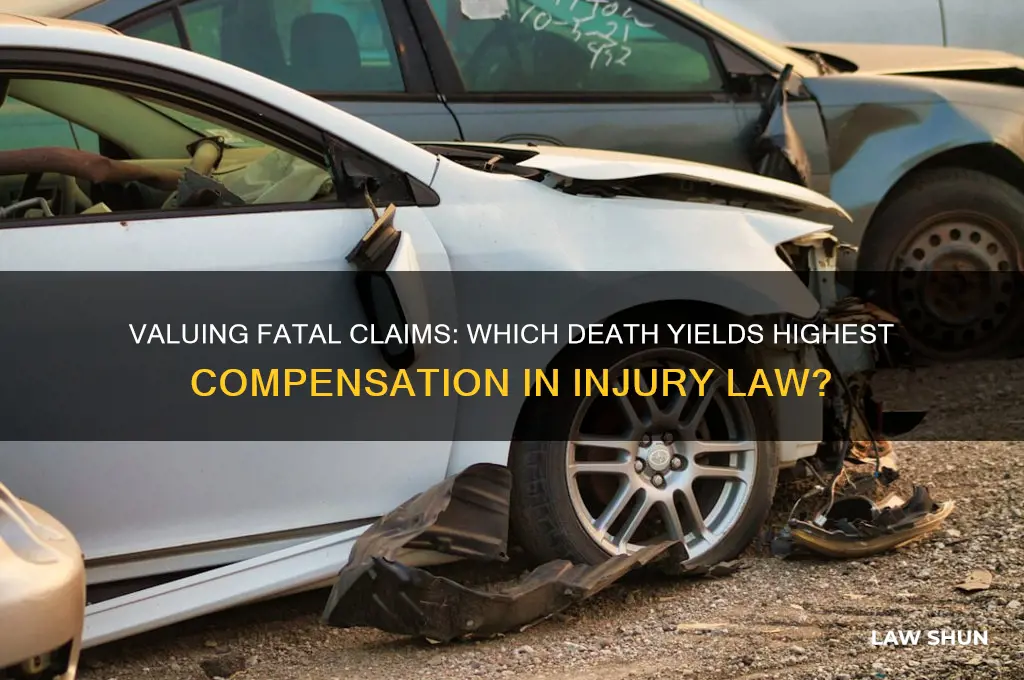 what death is worth the most in personal injury law