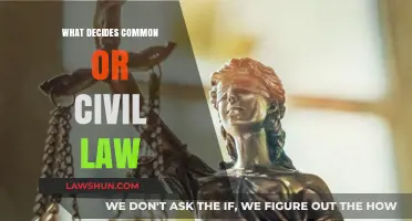 Civil Law vs Common Law: What Decides?