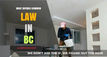 Common-Law Relationships in BC: What Defines Them?