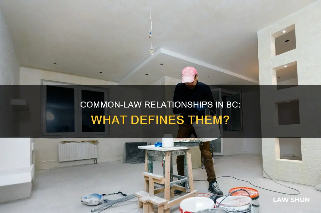 what defines common law in bc