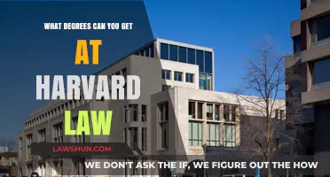Explore Harvard Law: Degree Options and Opportunities