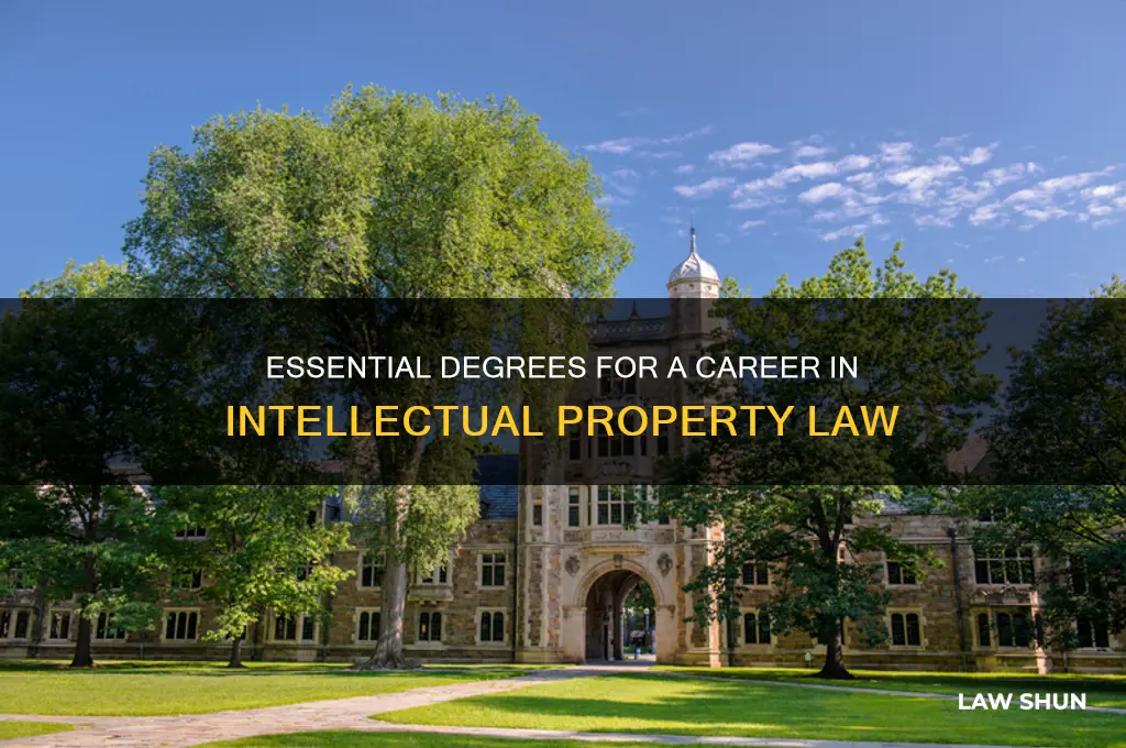 what degrees does an ip lawer need