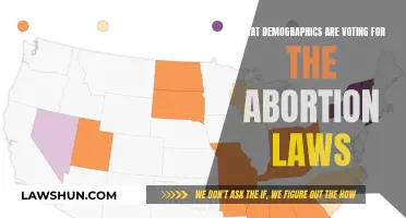 Who Votes for Abortion Laws?