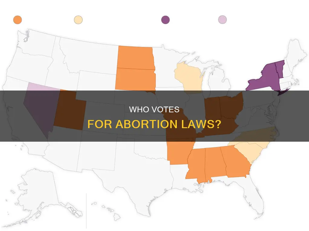 what demographics are voting for the abortion laws