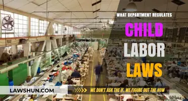 Understanding Child Labor Laws: Which Government Department Oversees Regulations?