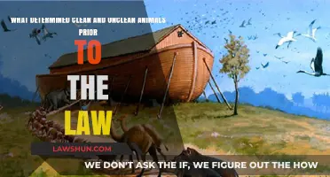 Pre-Law Distinctions: Understanding Clean and Unclean Animals in Ancient Times