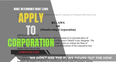 Laws Applicable to Corporations: Deciding Factors and Jurisdictions