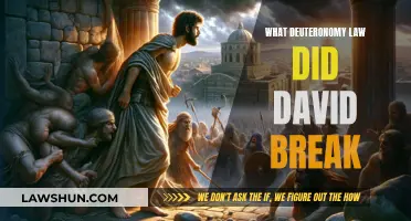 David's Transgression: Deuteronomy Law Broken