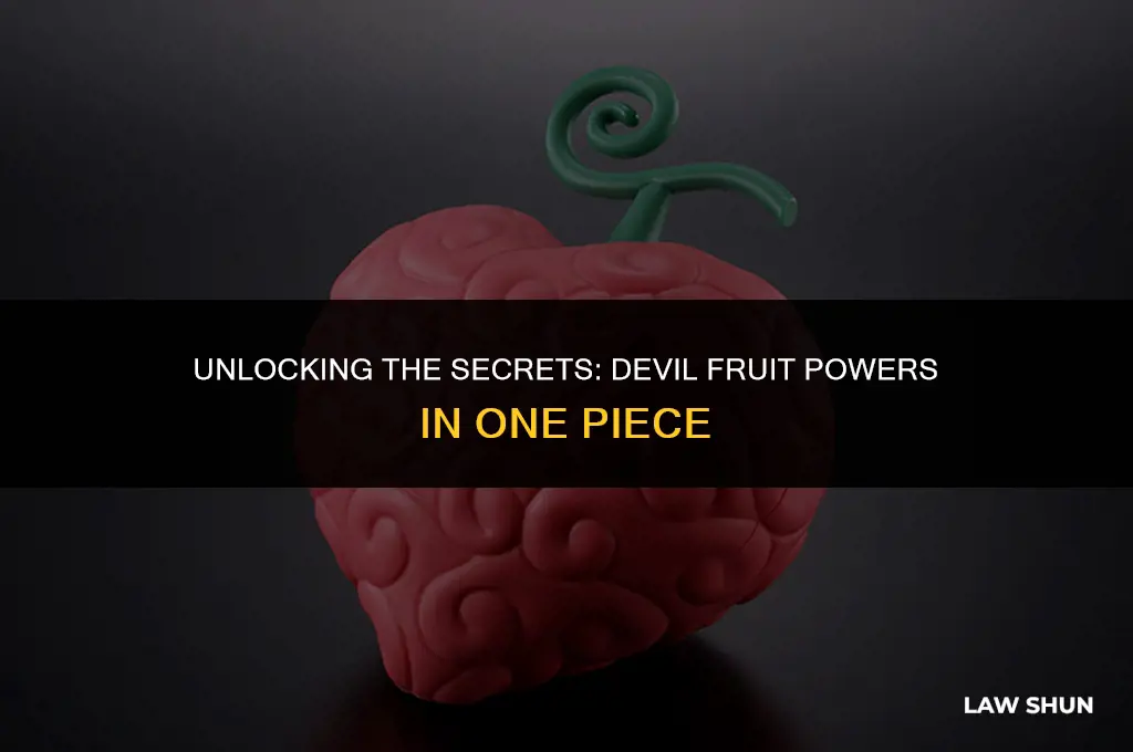 what devil fruit does law have