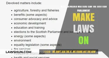 Scottish Parliament: Devolved Powers and Lawmaking Abilities