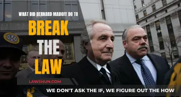 Madoff's Illegal Schemes: Breaking the Law