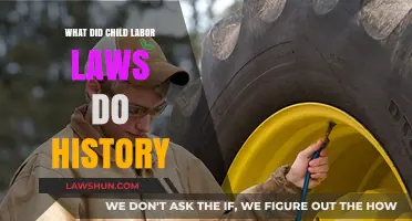 Child Labor Laws: Transforming History and Protecting Young Workers