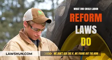 Child Labor Reform Laws: Transforming Lives and Shaping the Future