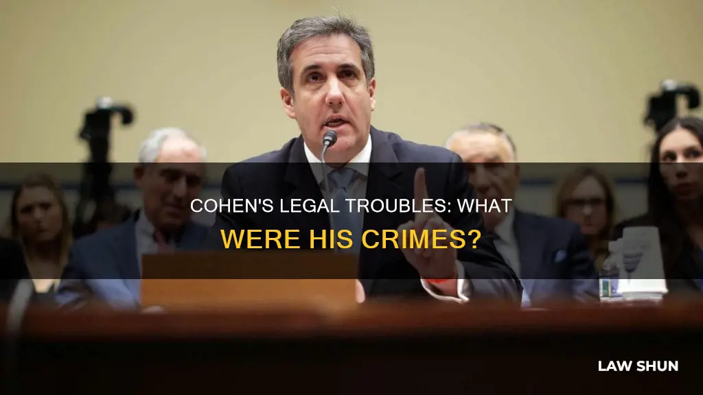 what did cohen do to break the law