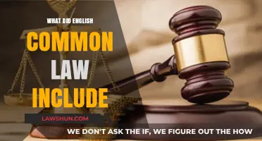 The Basics of English Common Law