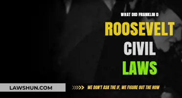 Franklin D. Roosevelt's Civil Laws: Shaping American Society and Justice