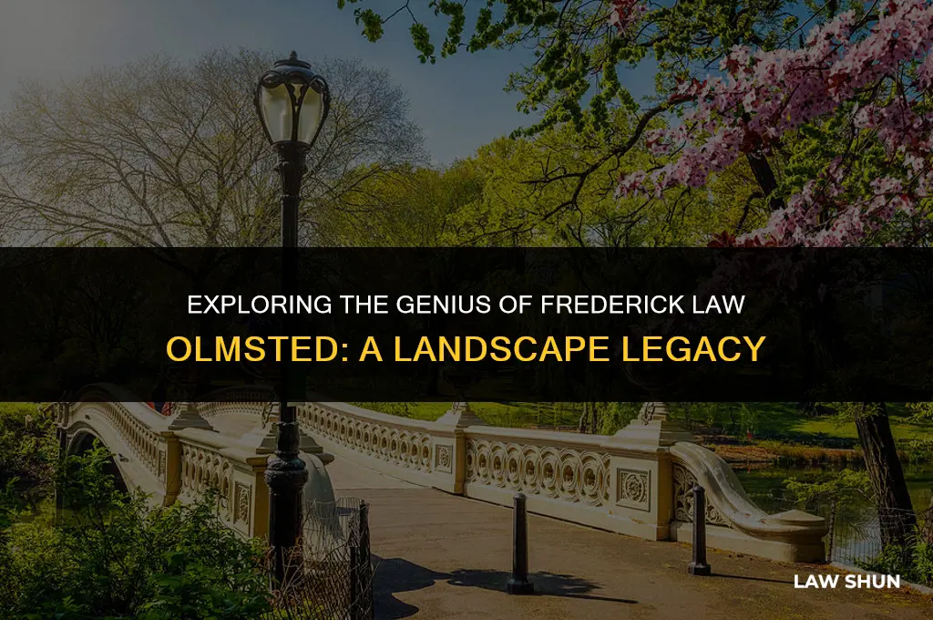 what did frederick law olmsted design