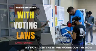 Georgia's Voting Law Changes: Impact, Controversy, and Voter Access Explained