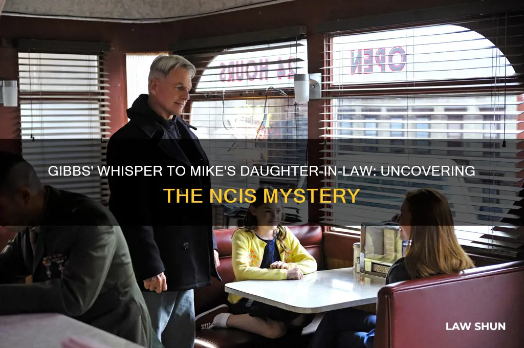 what did gibbs whisper to mike