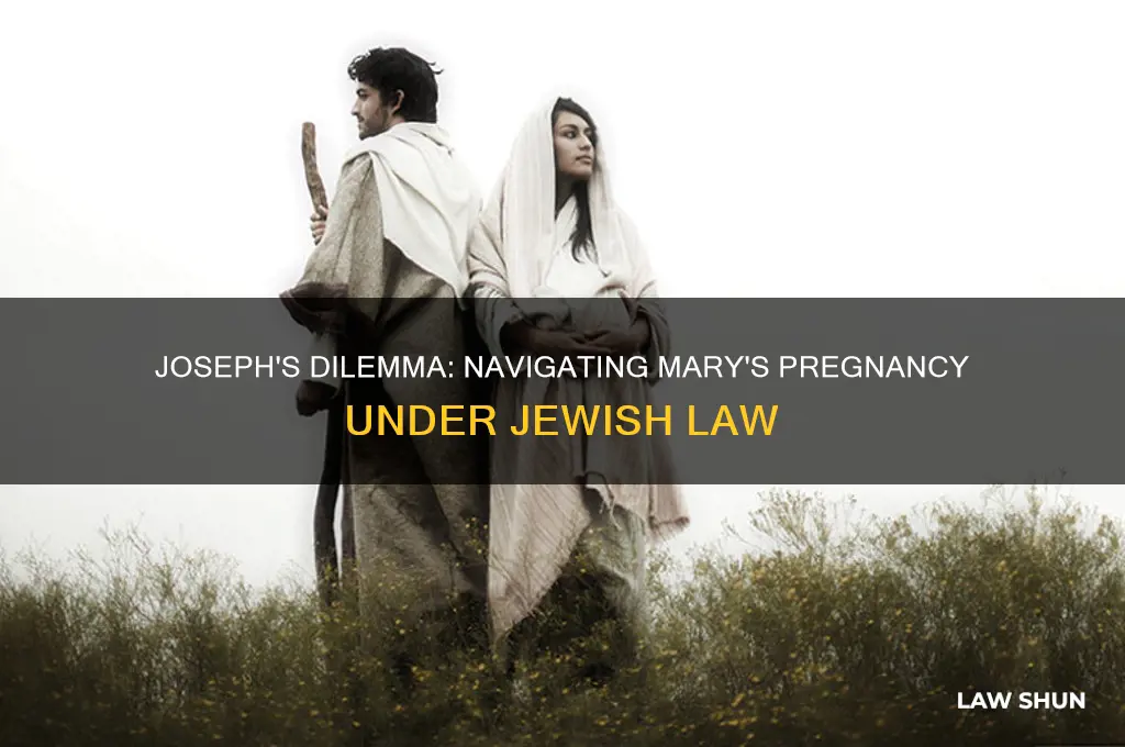 what did joseph decide at mary