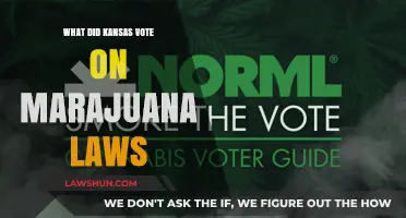 Kansas Marijuana Vote: What Did Kansans Decide on Cannabis Laws?