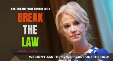 Kellyanne Conway's Unlawful Actions: What Happened?