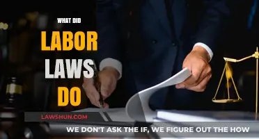 How Labor Laws Transformed Workers' Rights and Workplace Standards