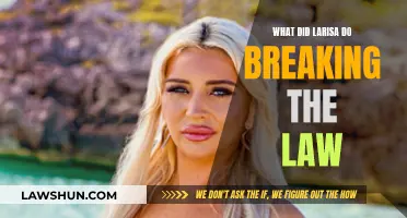 Larisa's Legal Troubles: Breaking the Law?