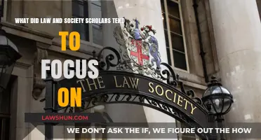 Exploring Law and Society Scholars' Key Focus Areas and Themes