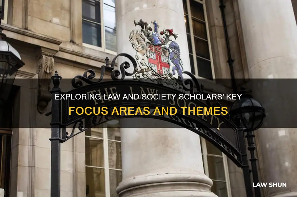 what did law and society scholars tend to focus on