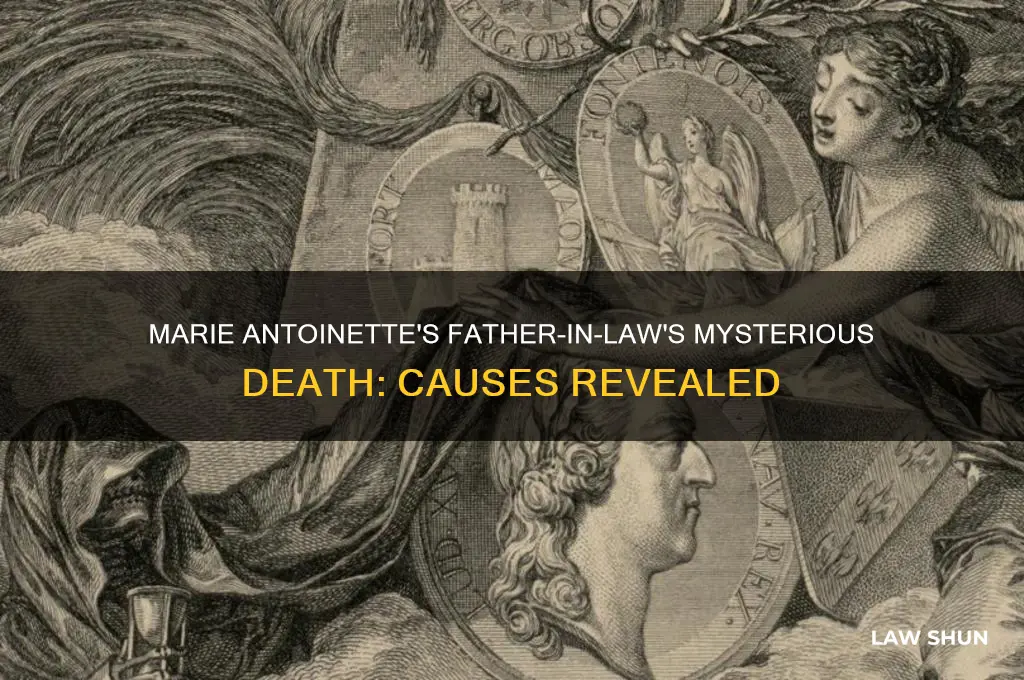 what did marie antoinette father in law die of