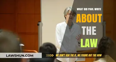 Paul's Perspective: Understanding His Teachings on the Law