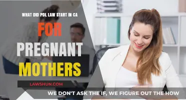 CA PDL Law: Empowering Pregnant Mothers with Workplace Protections
