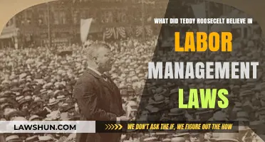 Teddy Roosevelt's Vision for Fair Labor Management Laws
