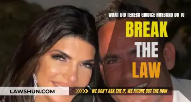 Teresa Giudice's Husband: A Lawbreaker's Tale