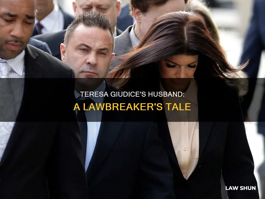 what did teresa giudice husband do to break the law