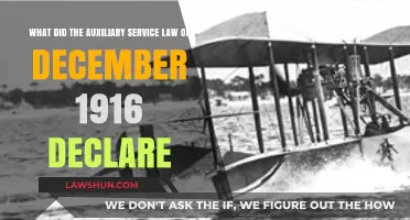 Auxiliary Service Law 1916: Key Provisions and Historical Impact