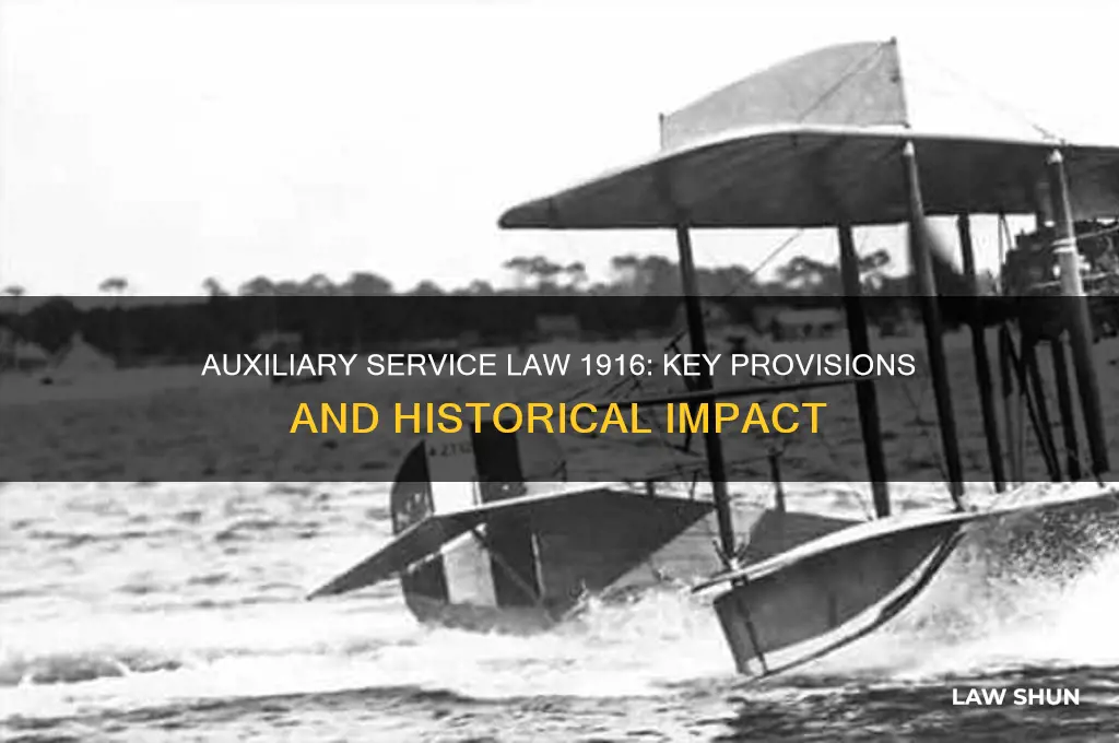 what did the auxiliary service law of december 1916 declare