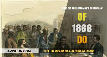 Freedman's Bureau Law of 1866: Empowering Freed Slaves Post-Civil War