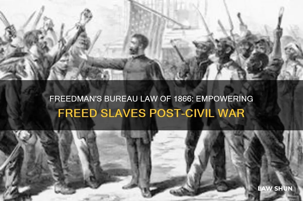 what did the freedman