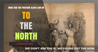How the Fugitive Slave Law Deepened Northern Resistance and Division
