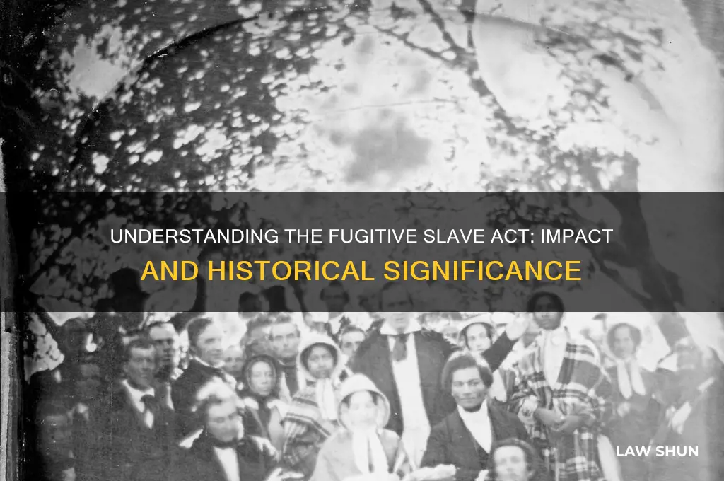 what did the fugitive slave law act do