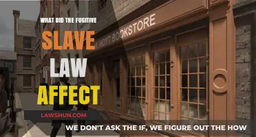 Fugitive Slave Law's Impact: Freedom, Resistance, and National Division