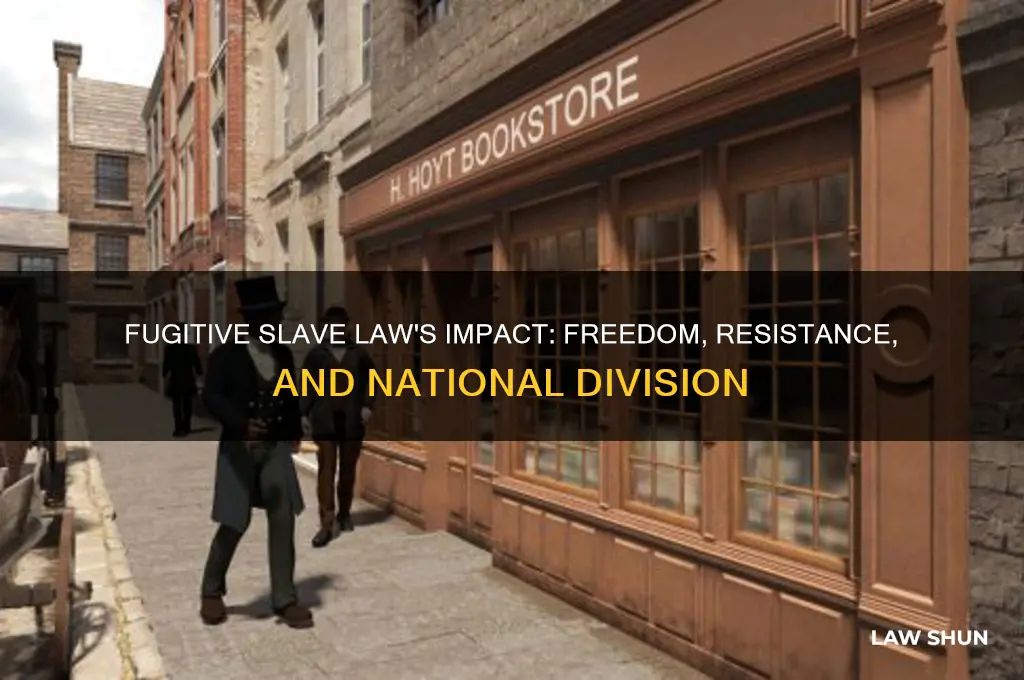 what did the fugitive slave law affect