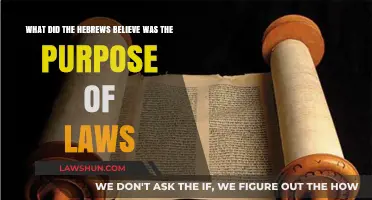 Hebrew Laws: Divine Guidance for Moral and Social Order